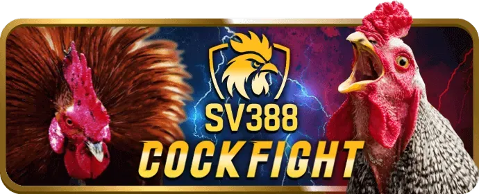Thưởng sinh nhật, sự kiện đặc biệt và VIP